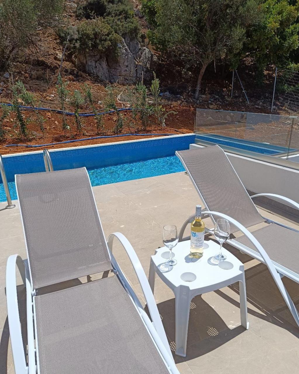 Isabel Artemis Crete - Luxury Sea Views Villas Nopigia ภายนอก รูปภาพ
